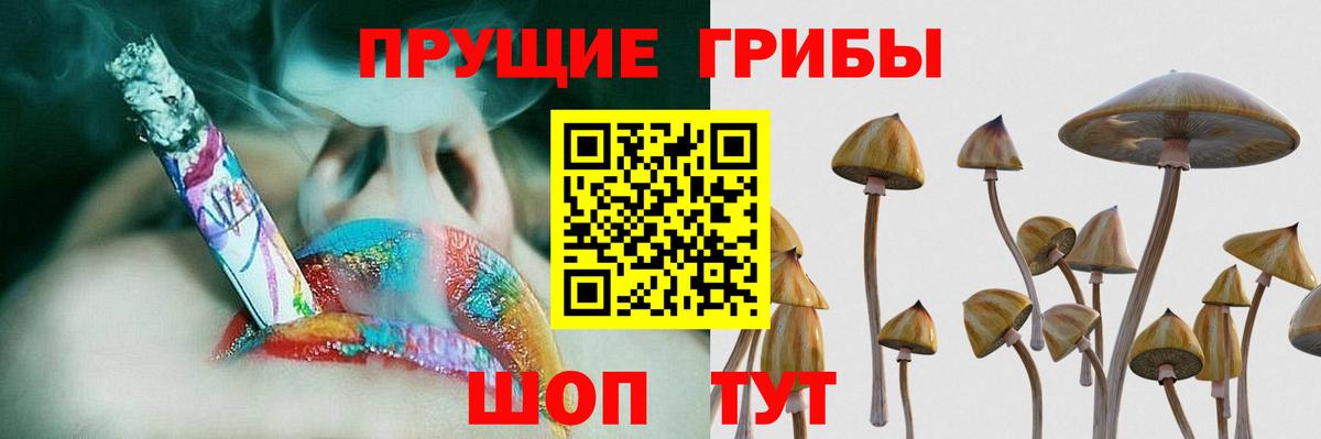 Назрань  Галлюциногенные грибы прущие грибы  Вход с VPN 